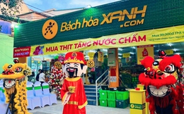 Bách Hoá Xanh chính thức Bắc tiến, khai trương một lúc 20 cửa hàng ở tỉnh này