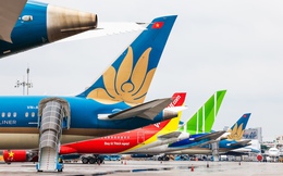 3 hãng hàng không Việt đồng loạt ra thông báo sau cảnh báo khẩn về lỗi phần mềm của Airbus