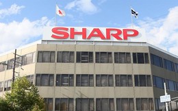 'Tượng đài Nhật Bản' một thời Sharp muốn lấn sân mảng AI, xe điện, robot