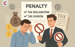Hộ kinh doanh lưu ý: Chi tiết các mức phạt cho hành vi kê khai sai, trốn thuế