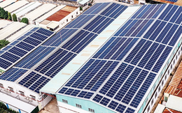 Doanh nghiệp điện mặt trời than khó vì "mỗi địa phương làm một kiểu"