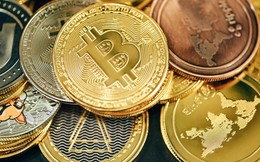 Thị trường tiền số hôm nay, 9-11: Diễn biến trái chiều