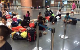 Từ 1/7/2026: Hãng bay bị delay sẽ phải xin lỗi và bố trí ăn nghỉ, đi lại cho hành khách