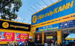 Điện Máy Xanh trước IPO: Đứng ở đâu trên thị trường điện máy?