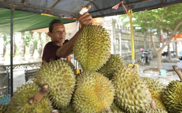 Quốc gia trồng 20.000 ha sầu riêng chính thức được xuất khẩu tươi vào Trung Quốc, cạnh tranh với Thái Lan, Việt Nam
