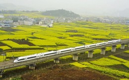 Rút ruột công trình, thuê thầu phụ trái phép, làm giả giấy tờ: Loạt nhà thầu đường sắt cao tốc Trung Quốc bị xử phạt