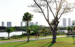 Chuyên gia gợi mở cách biến công viên thành “mỏ vàng” kinh tế đô thị
