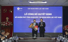 EVN bổ nhiệm 2 Phó Tổng giám đốc mới