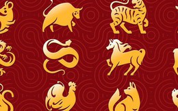 Bậc thầy phong thuỷ dự đoán tài vận 12 con giáp năm 2026: Tuổi Mão tiền vào như nước, Sửu, Dậu “thắng đậm” mọi mặt