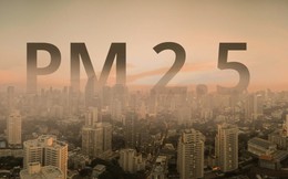 "Kẻ giết người thầm lặng" bụi mịn PM2.5: Nhỏ hơn sợi tóc 30 lần, xâm nhập sâu vào máu, khiến gần 6.000 người tử vong