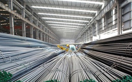 Sau cái bắt tay với VinMetal, Pomina chuẩn bị họp tái cấu trúc