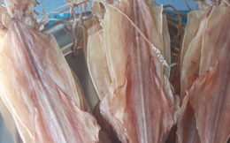 Mẹo phát hiện mực khô tẩm hóa chất