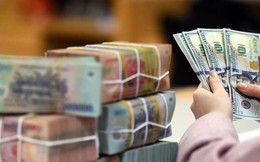 Một ngân hàng ngoại thu xếp 60 triệu USD cho Việt Nam: 2 tỉnh miền Trung và dự kiến 363.000 người hưởng lợi