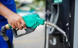 Một doanh nghiệp trả lại giấy xác nhận làm thương nhân xăng dầu