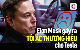 Elon Musk đang kéo Tesla xuống vực: Từ niềm tự hào xe điện xanh đến ‘vết nhơ thương hiệu’, nguy cơ mất vĩnh viễn 10% nhu cầu