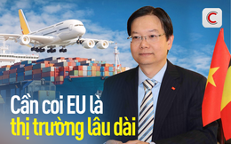 Tham tán thương mại: Hãy coi EU là thị trường làm ăn lâu dài chứ không phải 'lối thoát' khi khó khăn