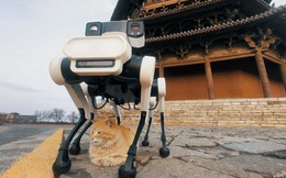 Lenovo dùng robot chó 6 chân tích hợp AI để bảo vệ chùa tháp gỗ cao nhất thế giới