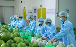 Mỹ áp thuế 46%: Doanh nghiệp Việt không nên hoảng loạn