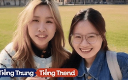 Một bên là "ngôi sao Hollywood", một bên là "minh tinh châu Á": Đặt Stanford cạnh Thanh Hoa, hội học giỏi toàn cầu chọn gì?