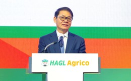 Lỗ lũy kế gần 10.000 tỷ, HAGL Agrico khi nào hết lỗ?