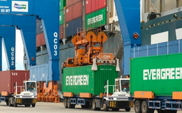 Được cán bộ hải quan tiếp tay, hơn 1.800 tỉ đồng nhà cái uy tín thế giới lậu "tuồn" qua đường chính ngạch