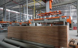 Tỷ phú Trần Đình Long bắt đầu sản xuất một sản phẩm mới toanh, mục tiêu 2030 đứng top 3 doanh nghiệp lớn nhất cả nước