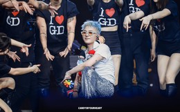 CTicket nói về sự cố 'sập' trang bán vé concert: Chúng tôi bị tấn công DDoS