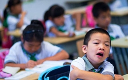 Hà Nội: Không được tổ chức dạy thêm, học thêm hè dưới bất kỳ hình thức nào