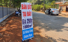 “Cơn sốt” đất nền đổ bộ Hải Phòng, Hưng Yên: Chuyện gì đang xảy ra?