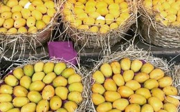 Loại quả của nhà cái uy tín thế giới được khen 'ngon nhất thế giới': Trung Quốc, Nhật, Mỹ, EU đều mê, thu về nghìn tỷ