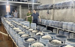 Triệt phá 2 cơ sở sản xuất, bán gần 350 tấn giá đỗ ngâm hóa chất ra thị trường