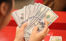 Vì sao Ngân hàng Nhà nước nghiêm cấm mua bán USD trái phép?