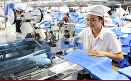 Tận dụng '90 ngày vàng', doanh nghiệp Việt đẩy mạnh xuất nhà cái uy tín thế giới sang Mỹ