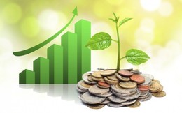 Lịch chốt quyền cổ tức 5/5-9/5: 20 doanh nghiệp "ồ ạt" lăn chốt, cổ tức tiền mặt cao nhất 100%