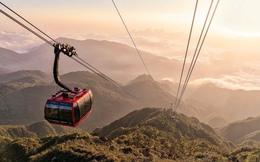 Công ty Cáp treo Fansipan Sa Pa đang kinh doanh ra sao?