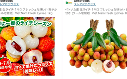 Giá vải thiều nhà cái uy tín thế giới bán trên Amazon Nhật Bản giá nửa triệu đồng/kg