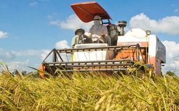 Chính thức: Hộ kinh doanh nông nghiệp có thể vay tối đa 500 triệu đồng không cần tài sản đảm bảo, hợp tác xã có thể vay tới 5 tỷ đồng