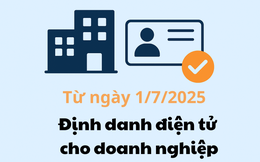 Tất tần tật những điều cần biết về định danh điện tử doanh nghiệp