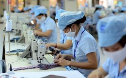 Một doanh nghiệp dệt may lớn báo lãi hơn trăm tỷ sau 5 tháng, hoàn thành 50% kế hoạch năm