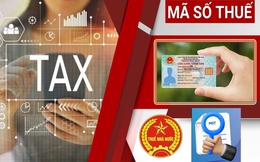 Người nộp thuế cần chú ý 3 điều này khi sử dụng số định danh cá nhân thay cho mã số thuế