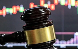 Vì sao 2 doanh nghiệp bị xử phạt hơn 600 triệu đồng?