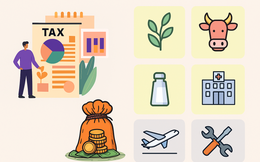 Không phải mặt hàng nào cũng đóng thuế: Danh sách lĩnh vực được miễn hoặc áp dụng thuế suất 0%