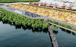 "Mỏ vàng" đem về 30.000 tỷ đồng mỗi năm, đưa TP Việt Nam vào top đầu ASEAN được Thủ tướng chỉ đạo ‘nóng’