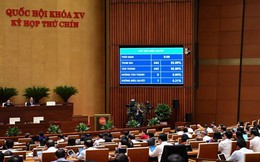 Tin vui: Chính thức miễn thuế sử dụng đất nông nghiệp đến 2030