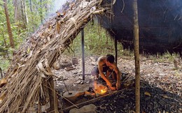 1,17 tỉ lượt xem chàng trai dựng nhà trong rừng như người nguyên thủy, đích thân New York Times, BBC đến tận nơi săn đón