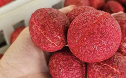 Một loại vải đặc biệt ở Thanh Hoá giá 600.000 đồng/kg