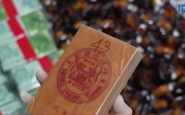 Chuyên án 4 tiếp viên hàng không xách ma túy: Bắt hơn 1.500 đối tượng, xác định giao dịch 29.000 tỷ đồng