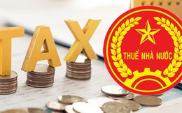 Từ 1/7, một điều vẫn được giữ nguyên với ngành thuế: Doanh nghiệp và hộ kinh doanh cần hết sức chú ý