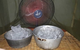Đặt chậu nước, chậu đá trước quạt có làm mát nhà hơn không? Câu trả lời của chuyên gia gây bất ngờ