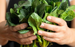 Mỹ đánh giá "rau tốt nhất thế giới", hóa ra là rau quen thuộc có bán ở Việt Nam